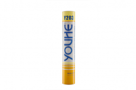 Y203